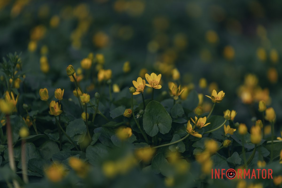 Весна прийшла