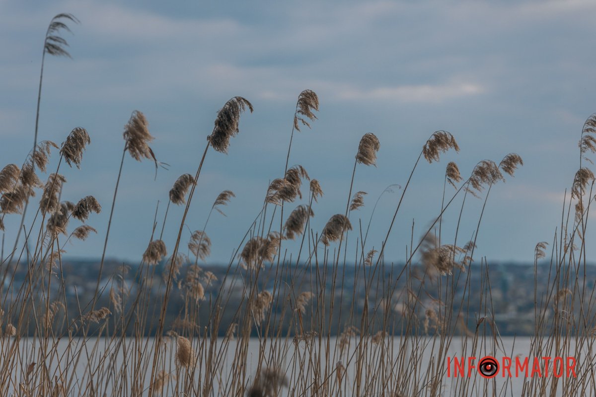 Намагайтесь помічати красу навколо себе