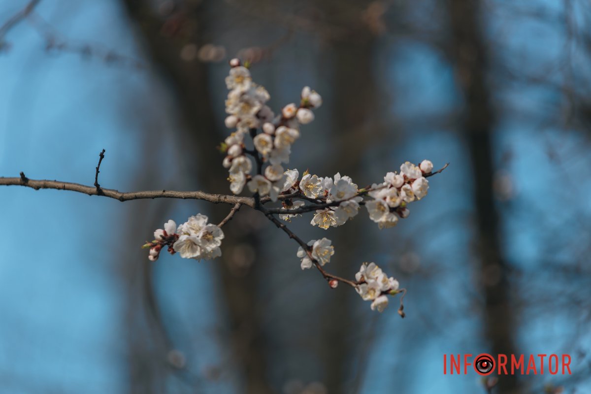 Дніпро змінюється щодня