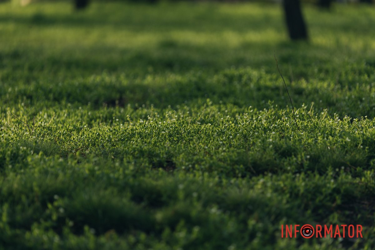 Весна вступила в свої права 