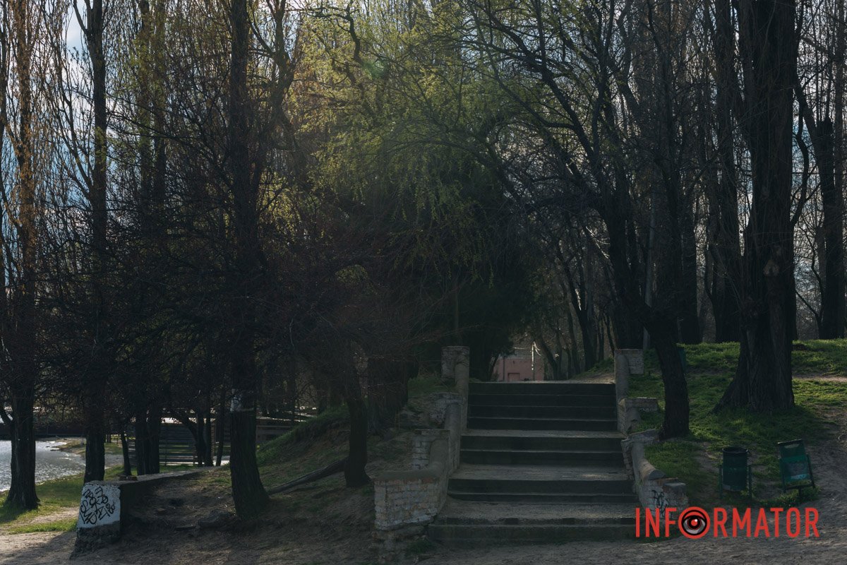 Сходи та дерева