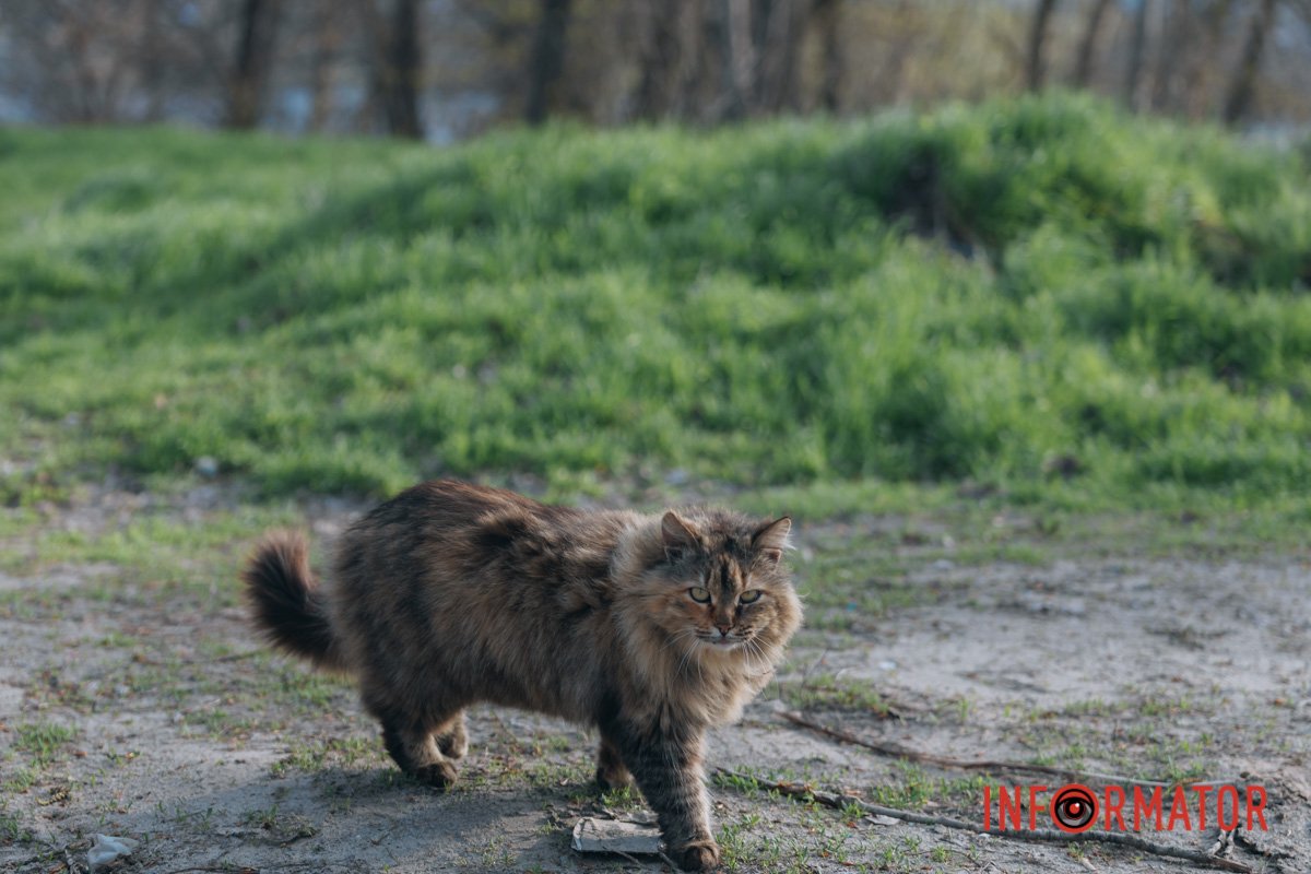Прогулянка містом