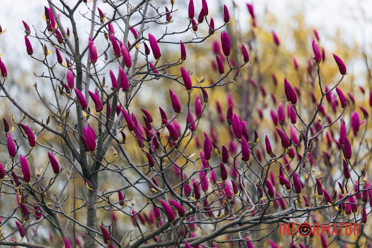 Жити тут і зараз