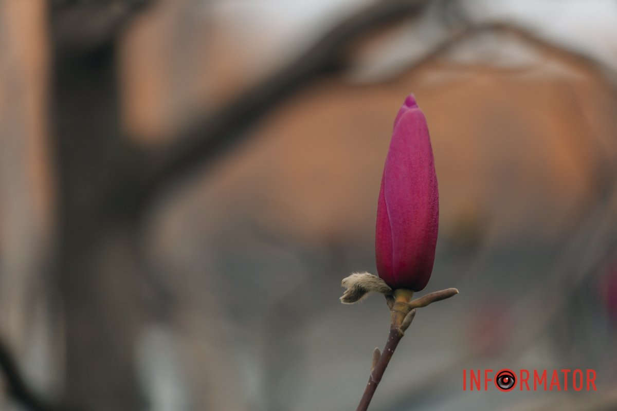 Який колір!