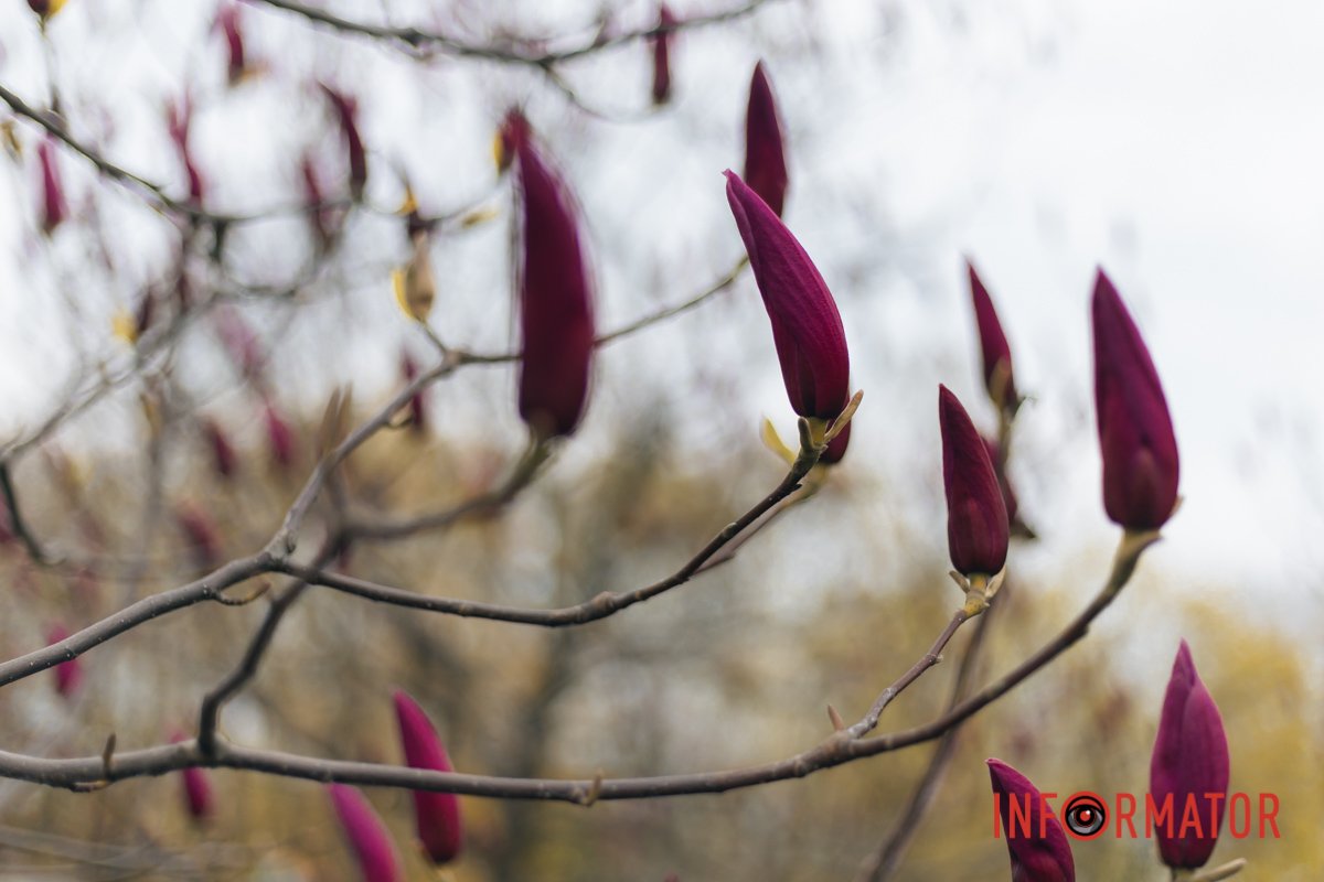 Атмосферно