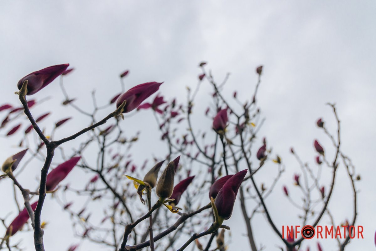 Яскраві кольори