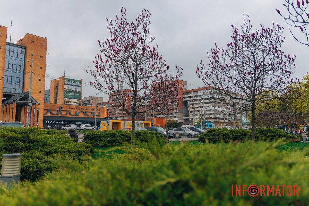 Помилуватись красою можуть всі охочі