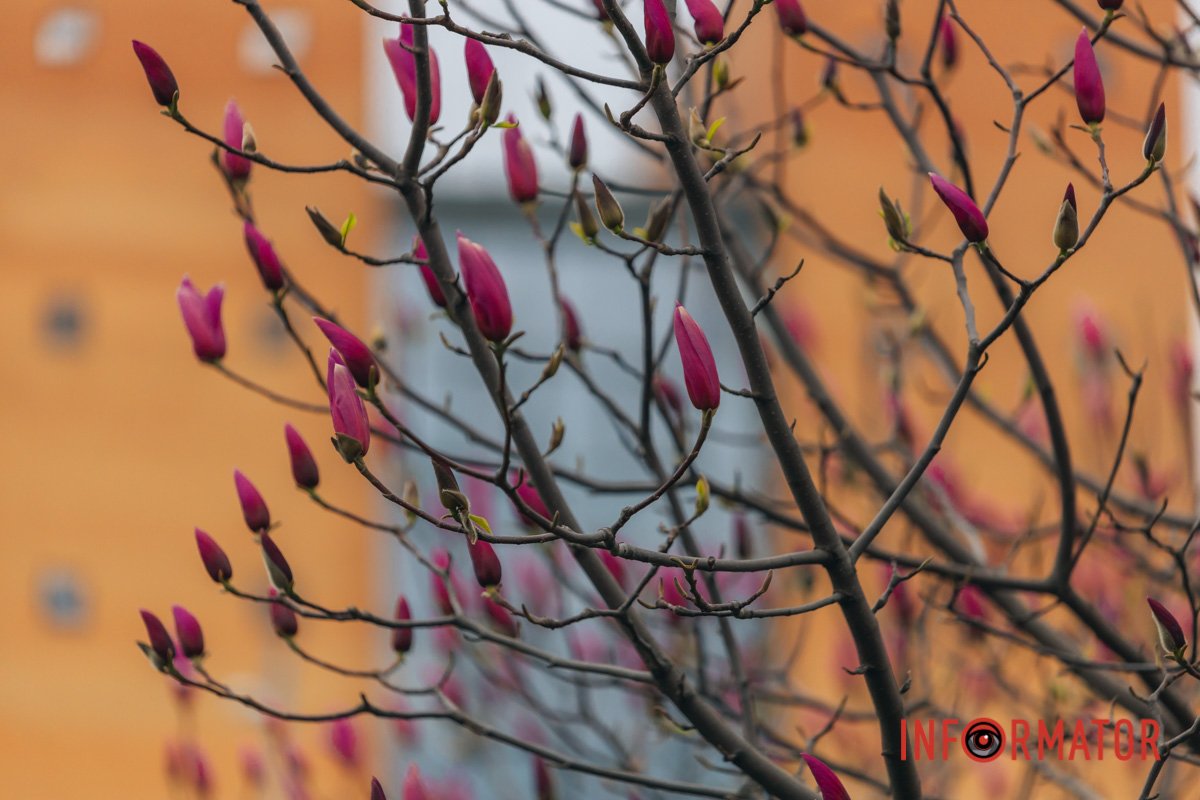 Життя прекрасне