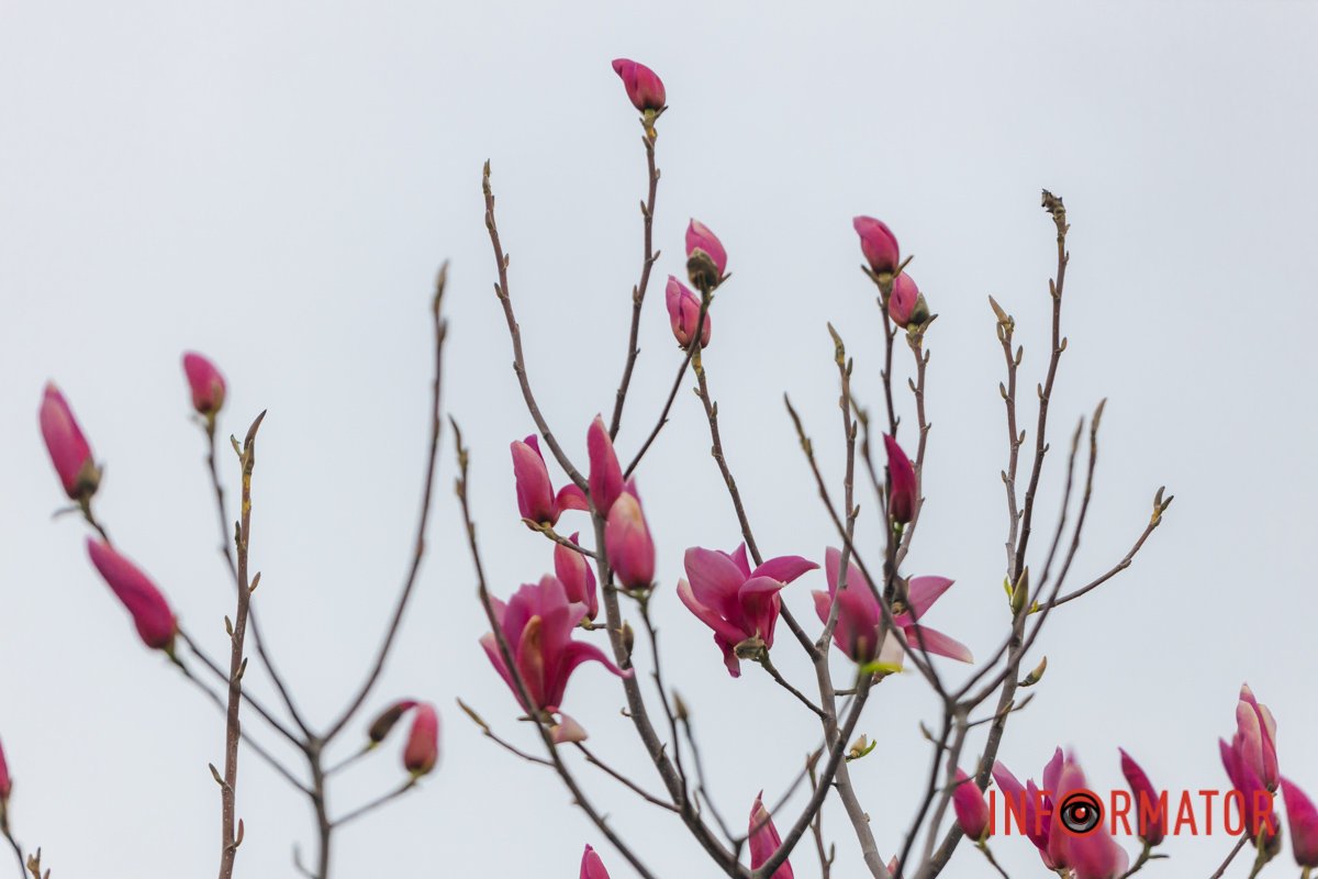 Знайдіть час для себе