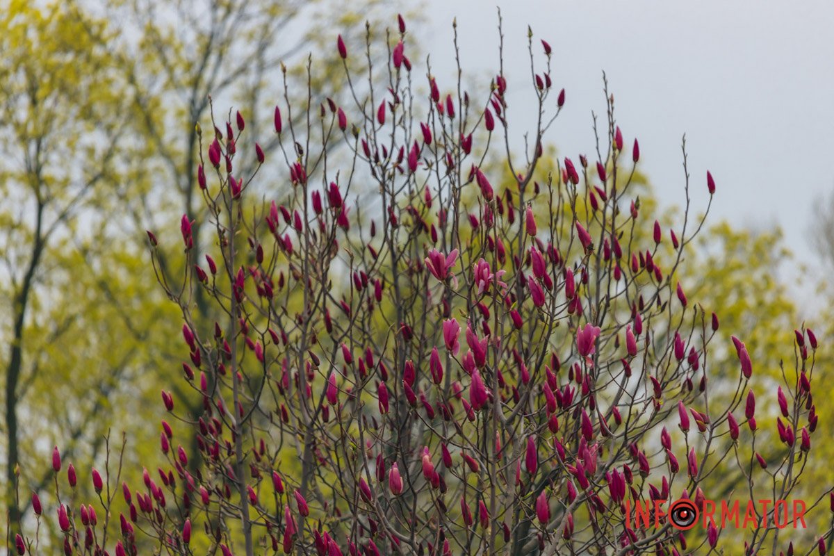 Гарне місце