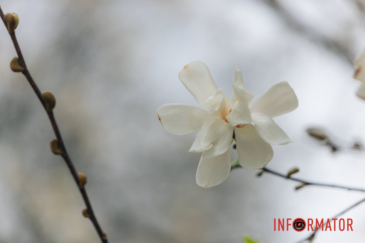 Макрозйомка