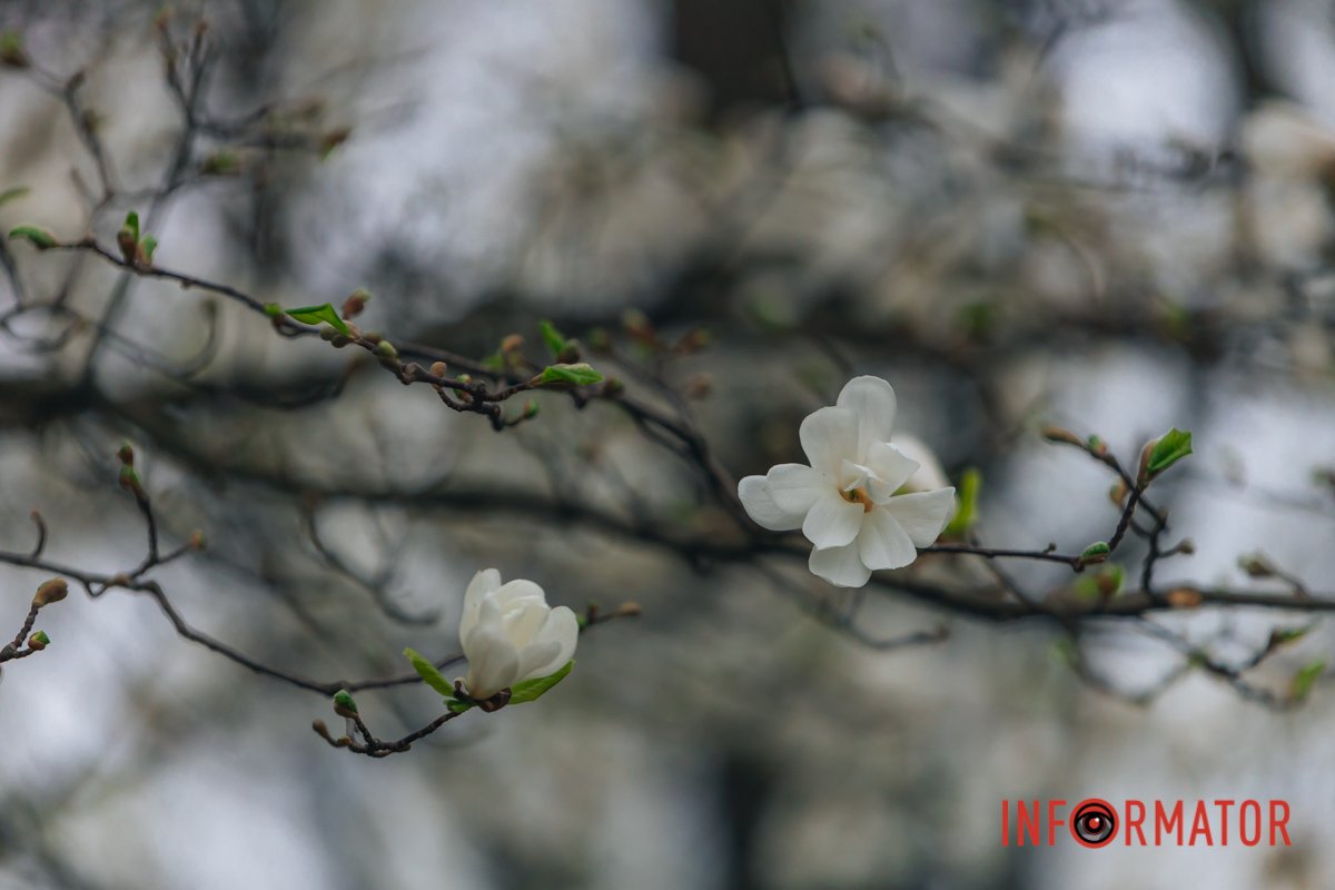 Природа надихає