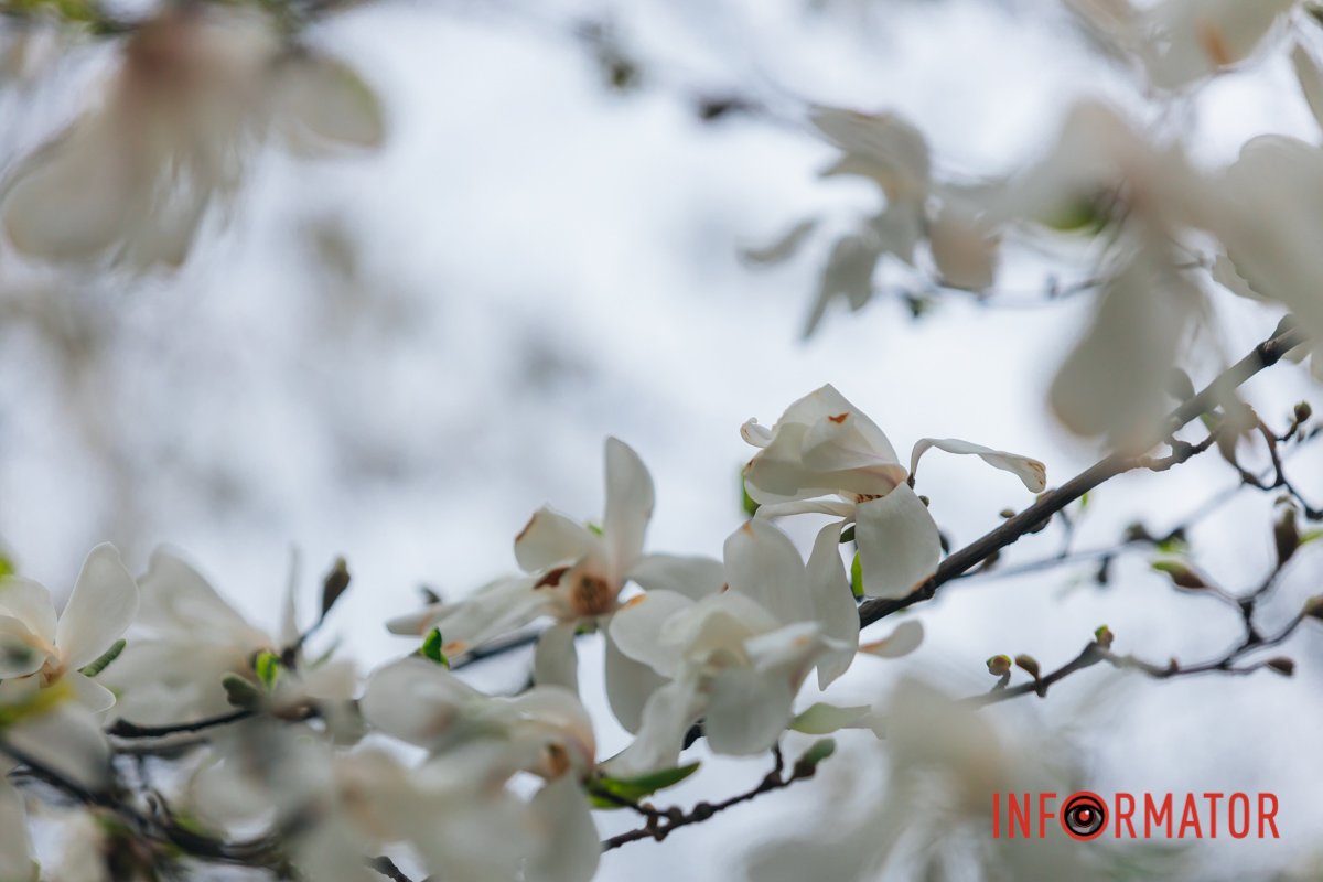 Гарні світлини