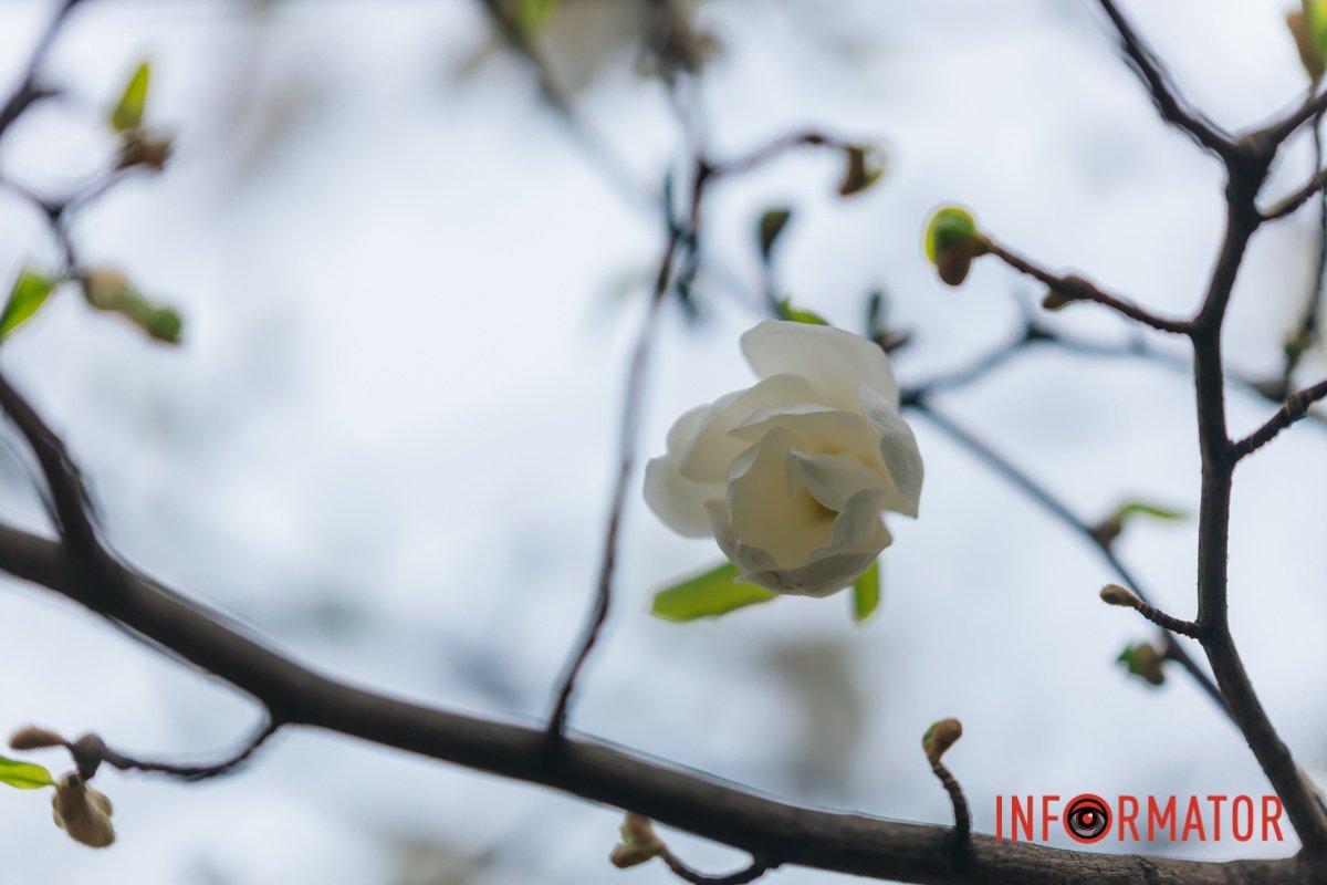 Насолоджуйтесь моментом