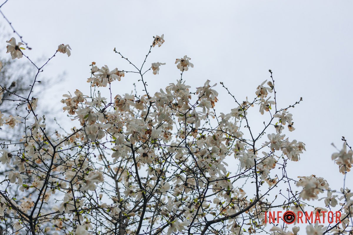 Тільки вперед!