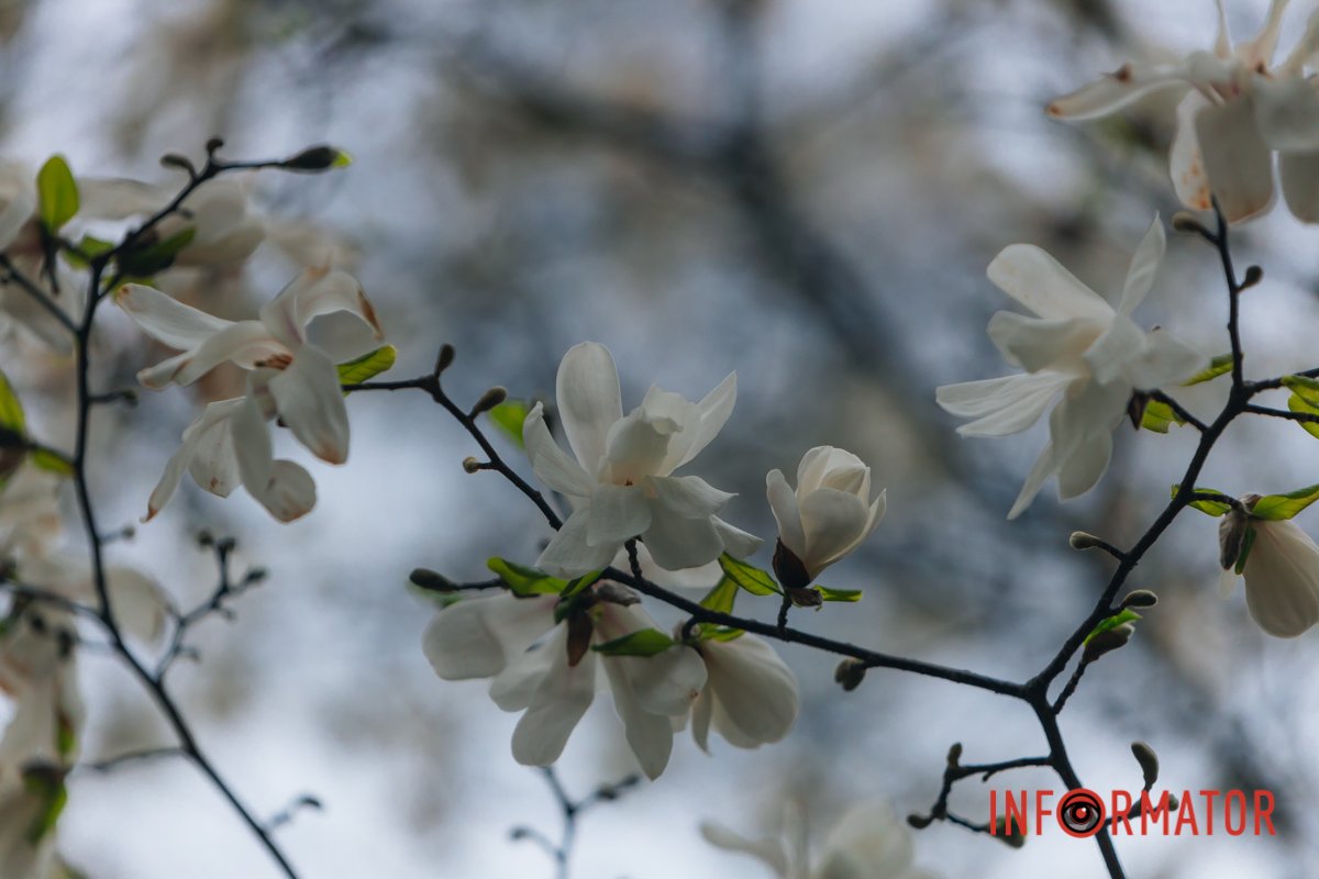 Мисліть позитивно