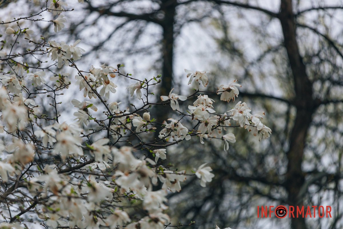 Ніжність в одному фото