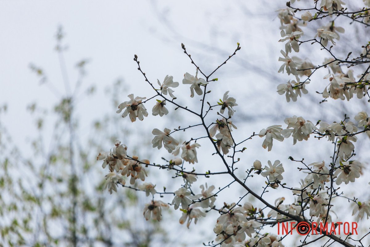 Неймовірно