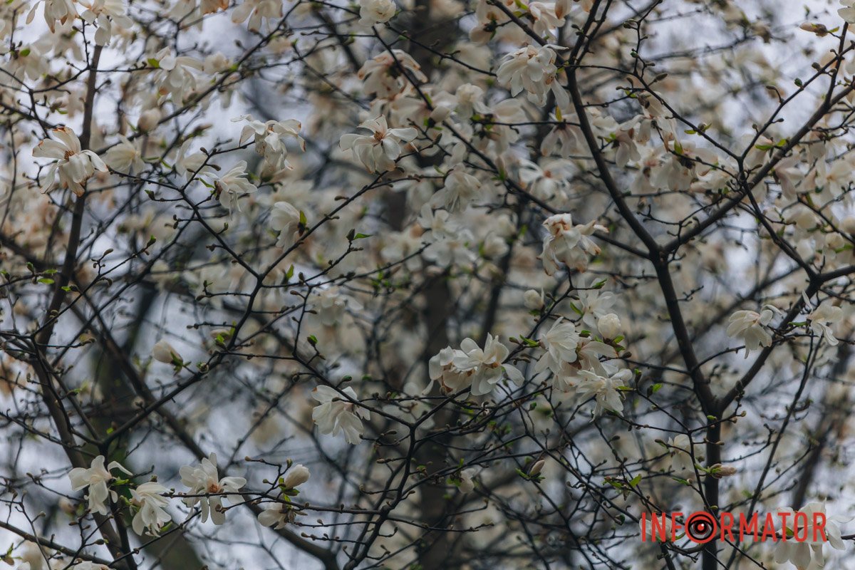 Вірте у себе 