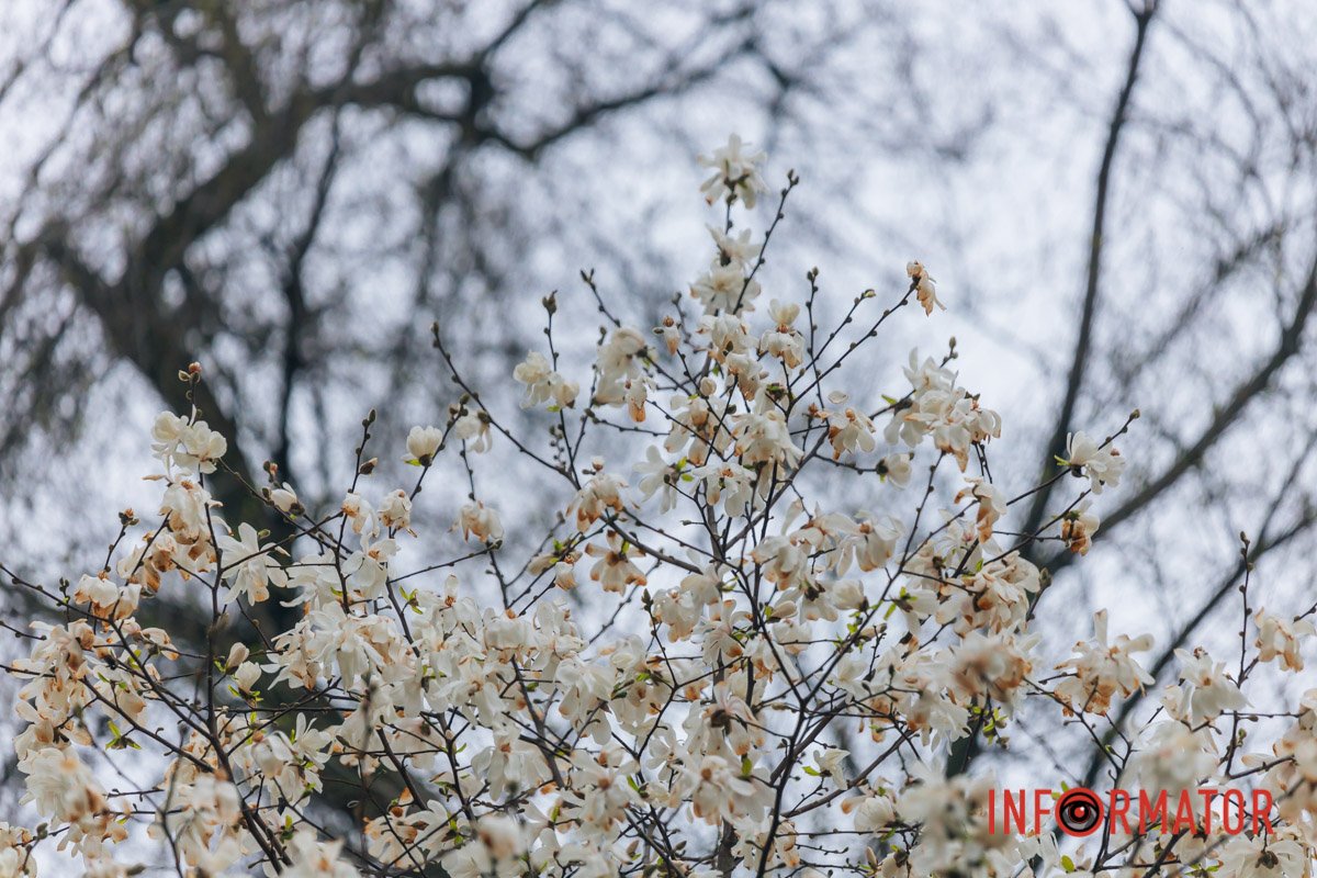 Знаходьте час для себе