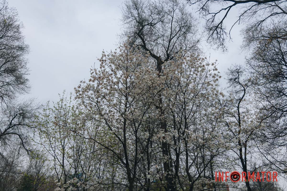 Цінуйте кожну мить