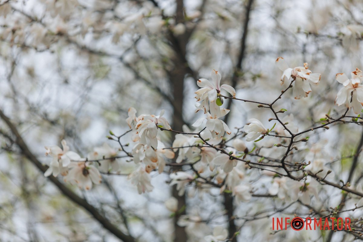 Автор фото: Денис Чубченко