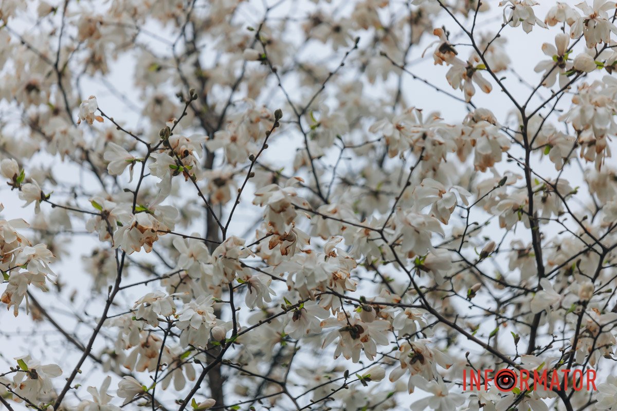 Ловіть момент