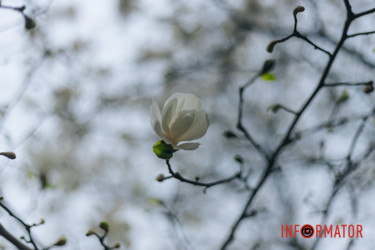 Дякуємо нашим Захисникам