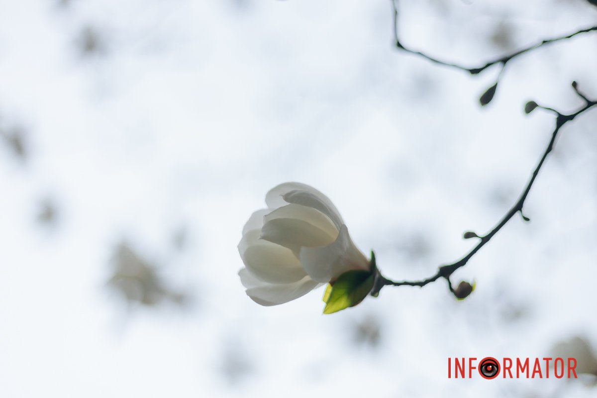 Чекаємо на нашу перемогу