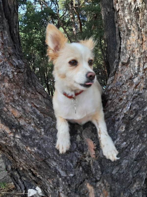 Маленька Нюша Маленька Нюша