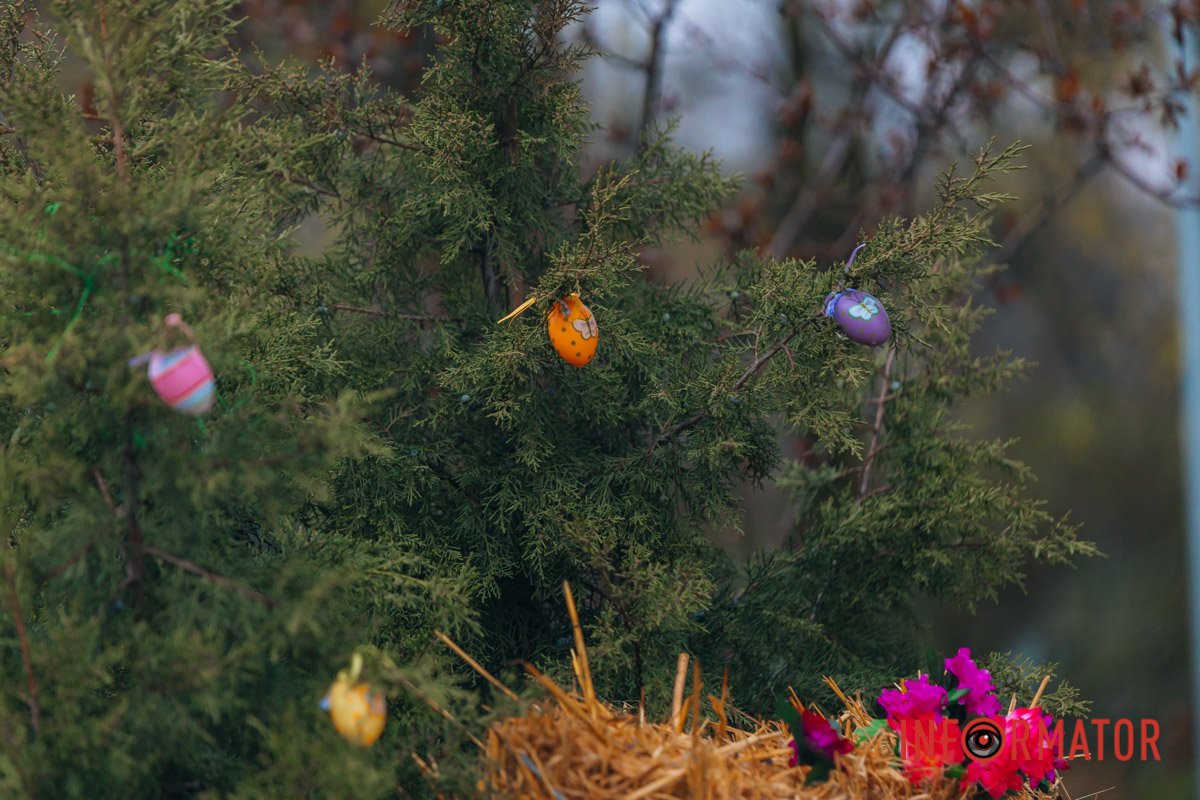 Вони знаходяться у парку Шевченка