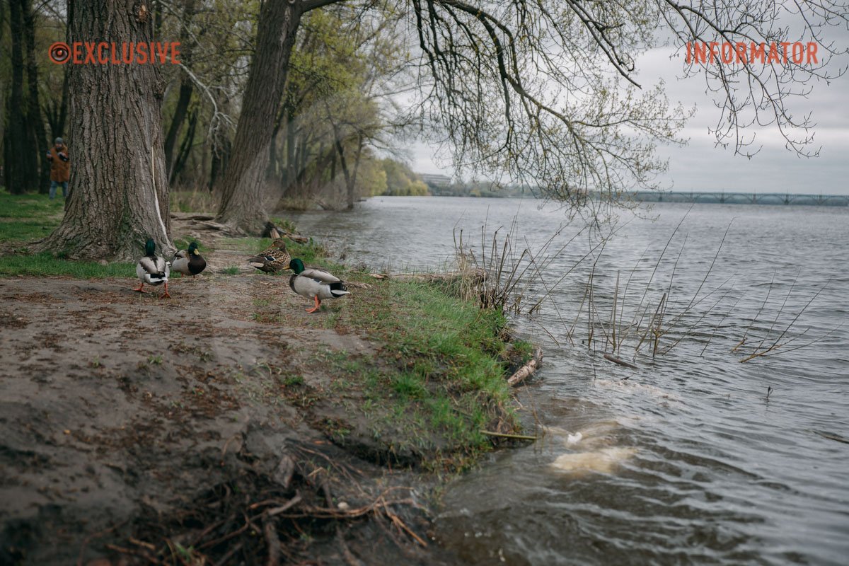 Єдині, хто у захваті