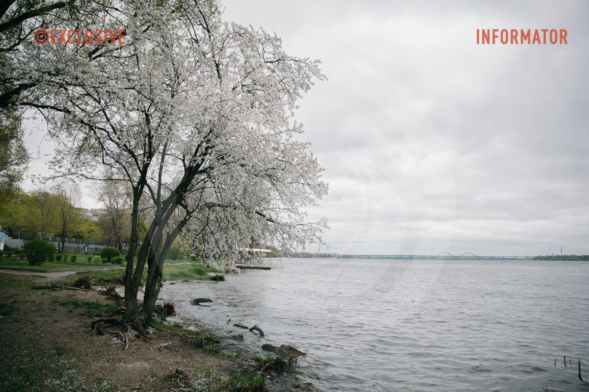 Ситуація на лівому березі