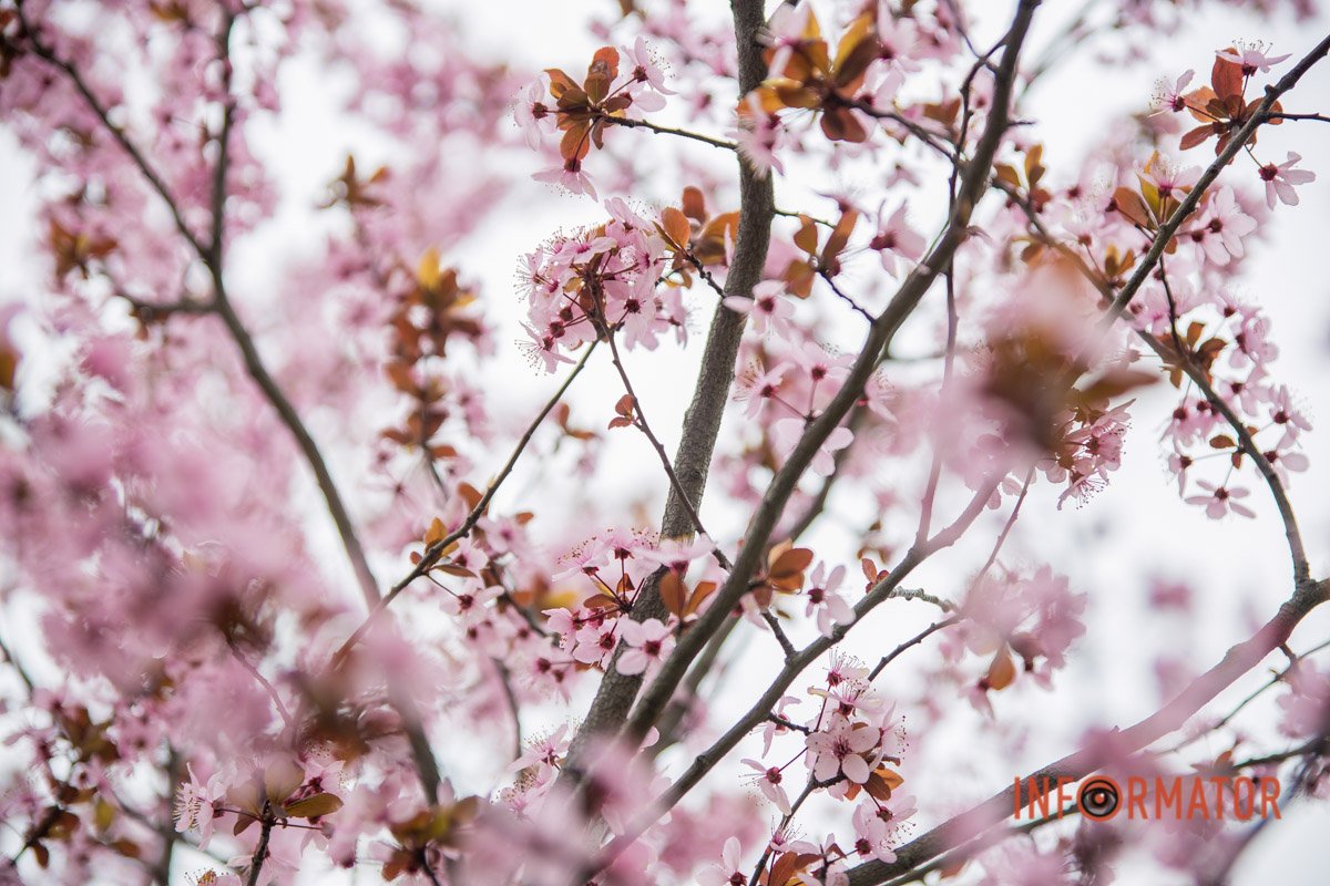 Неймовірно Неймовірно