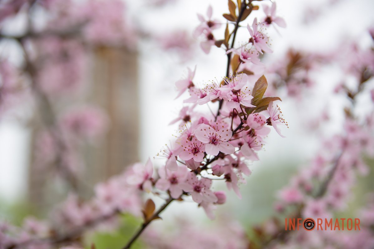 Деталі Деталі