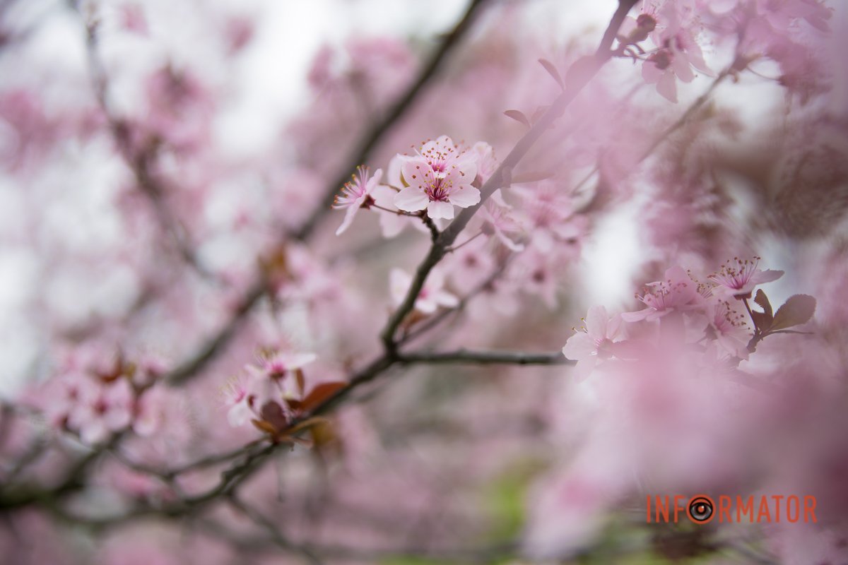 Дуже гарно Дуже гарно