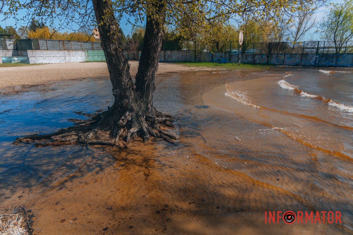 Дерево у воді