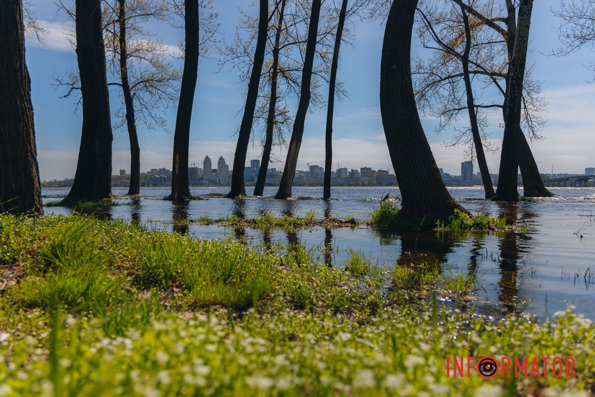 Наче із фентезі