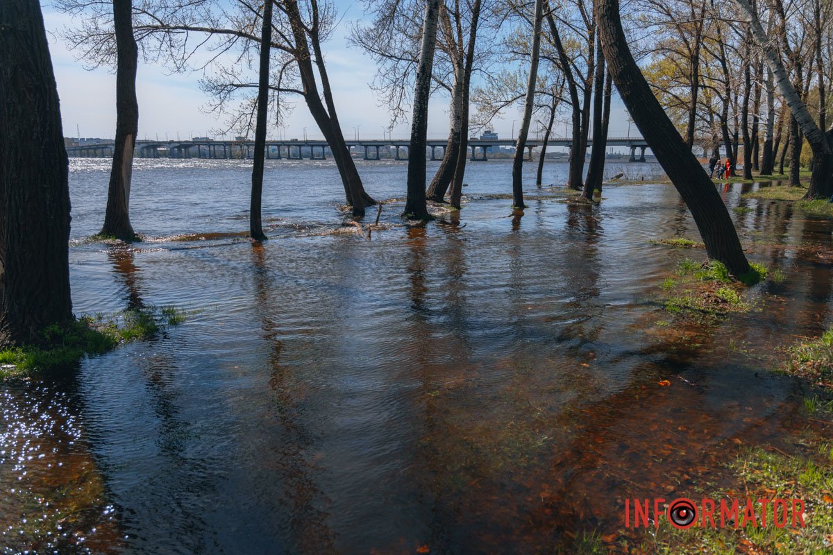 Фото: Денис Чубченко