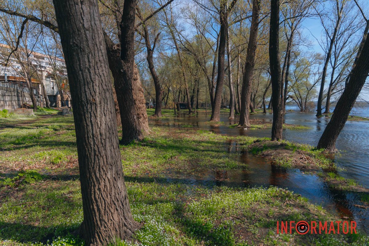 Трохи Венеції у Дніпрі