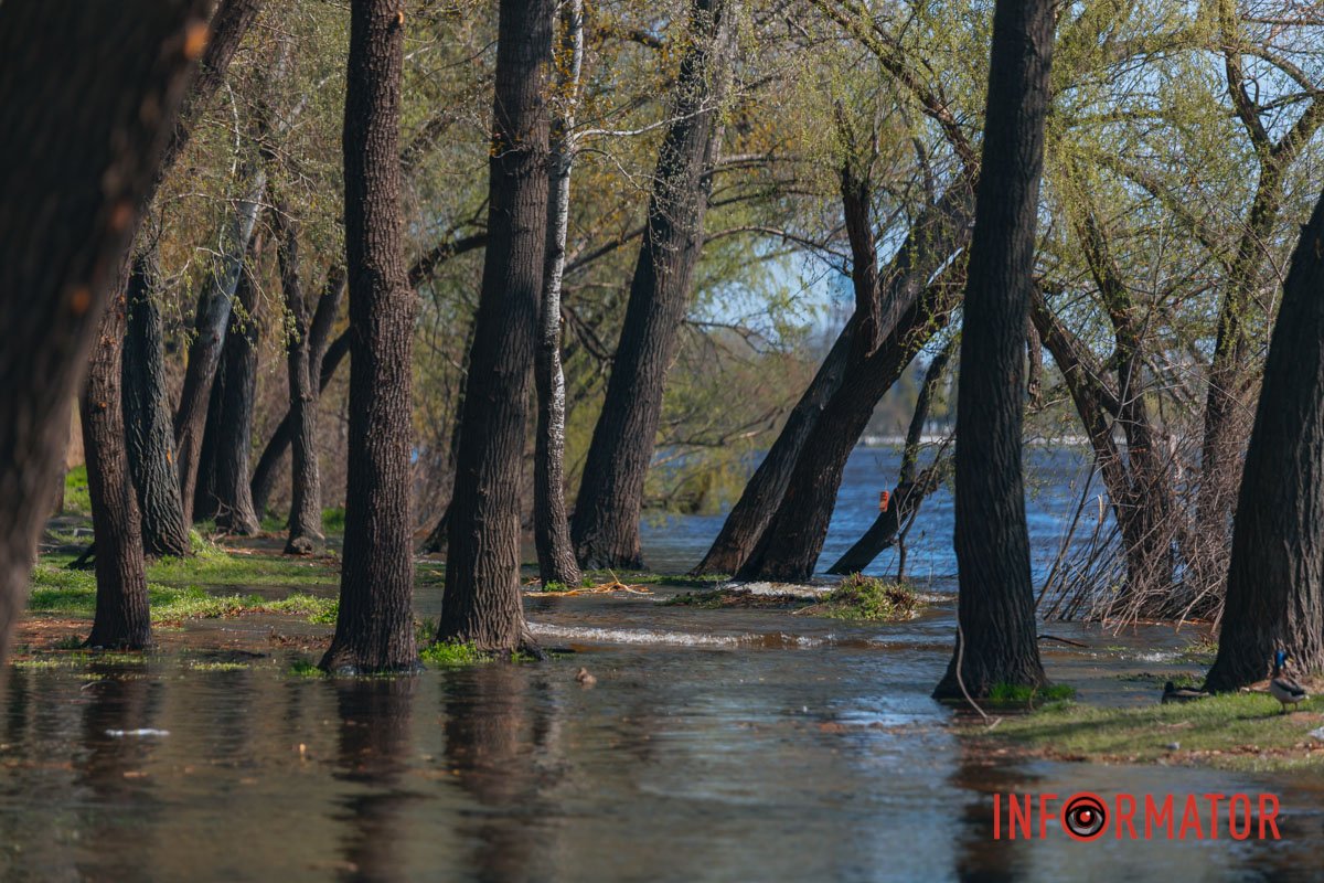 Станом на 17 квітня підтоплено понад 150 дачних будинків 