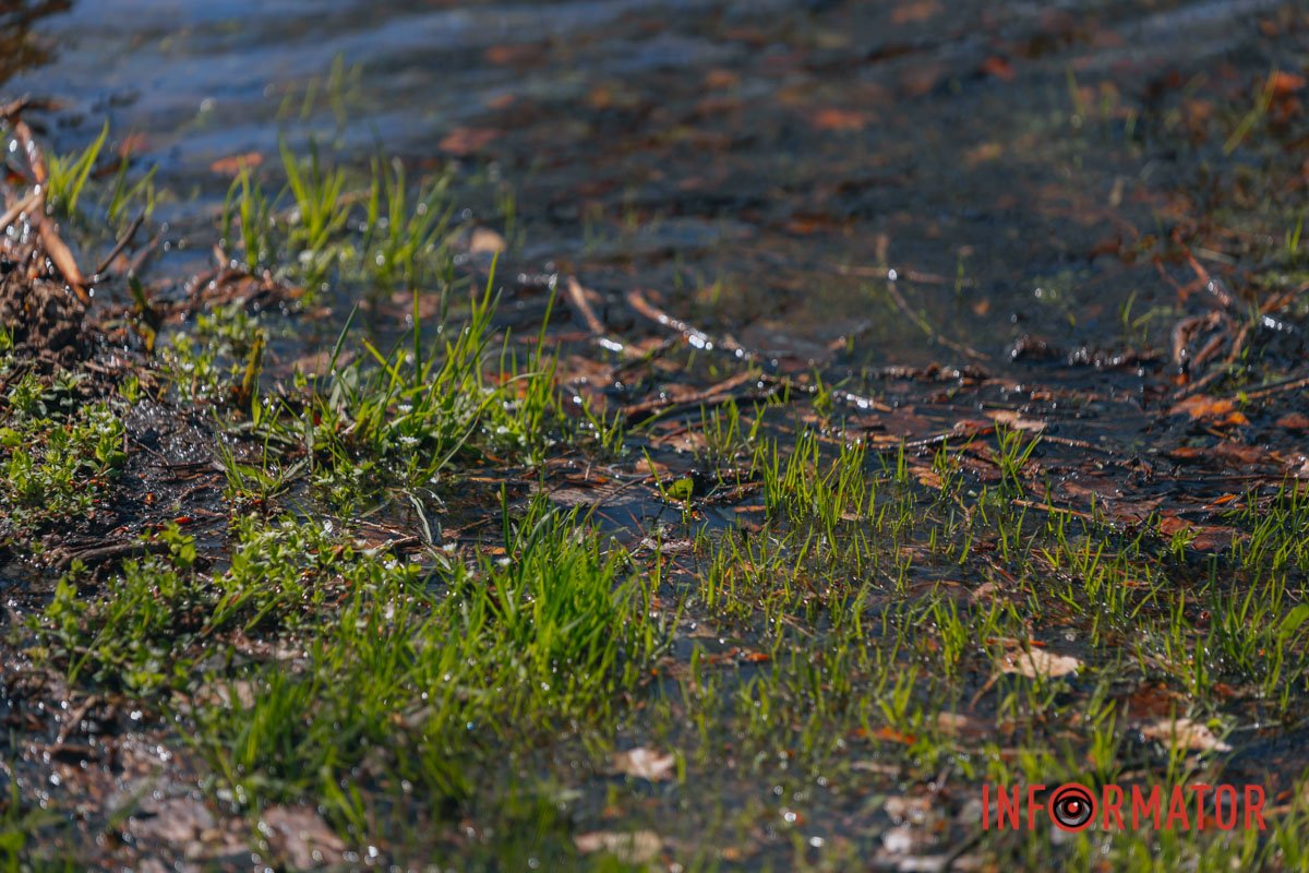 Трохи "Атлантиди"