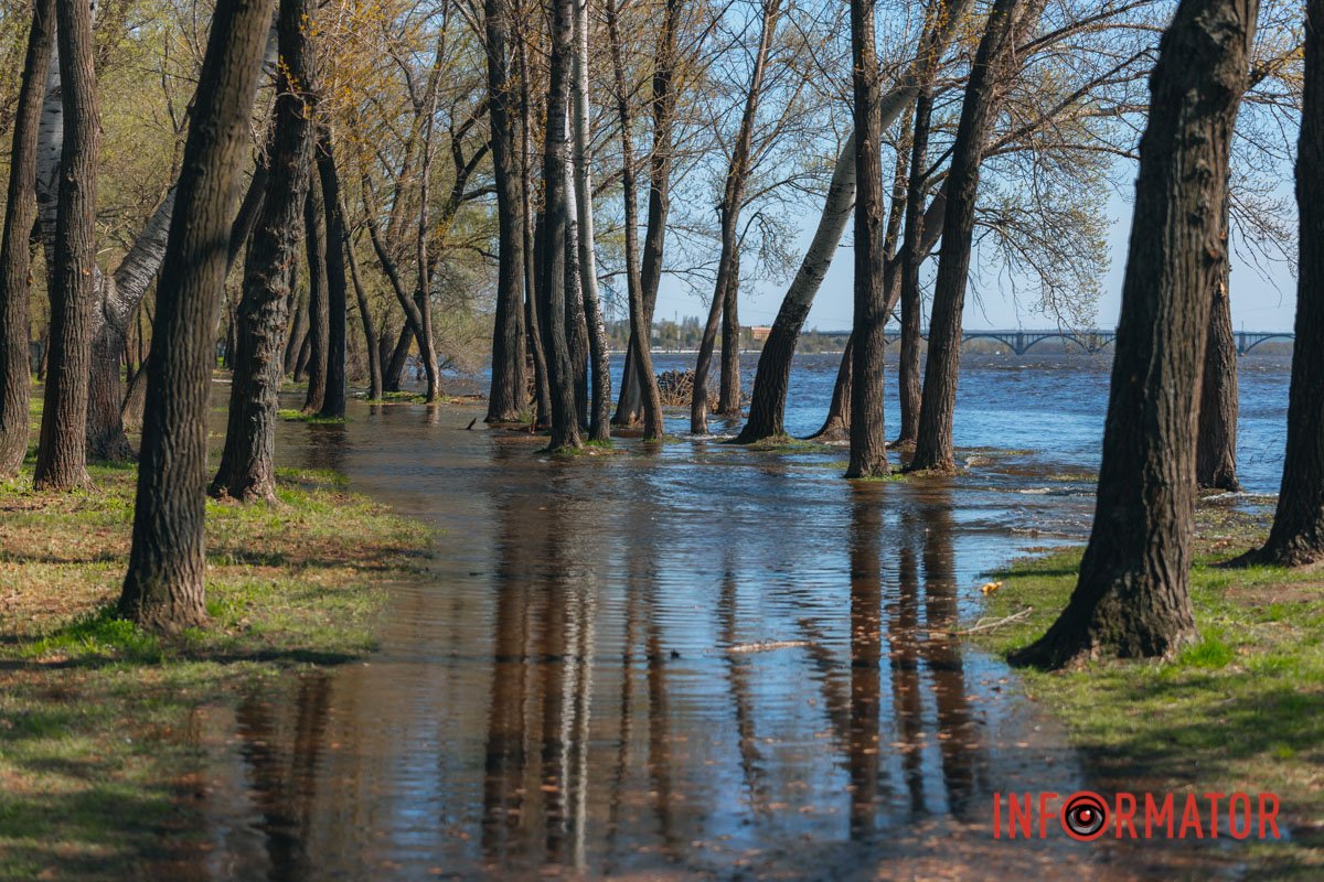 Незвичне видовище