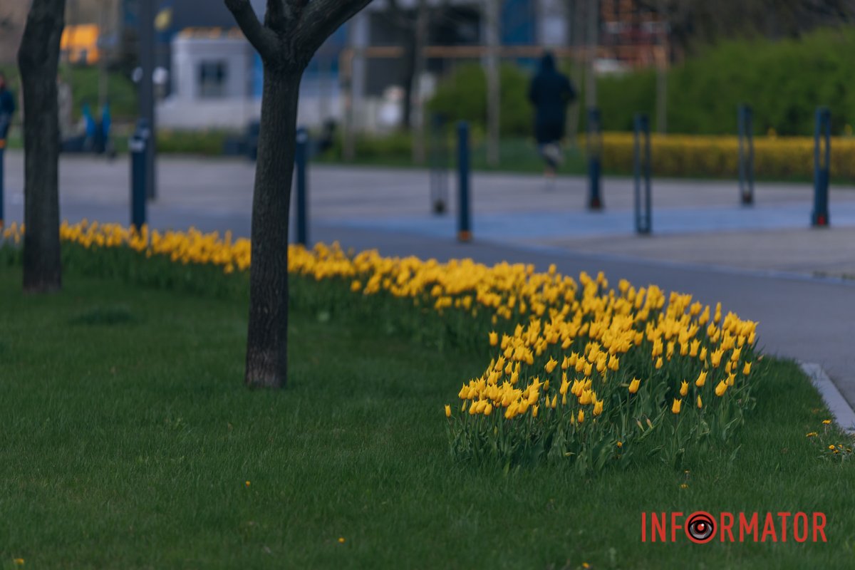 Гайда на прогулянку 