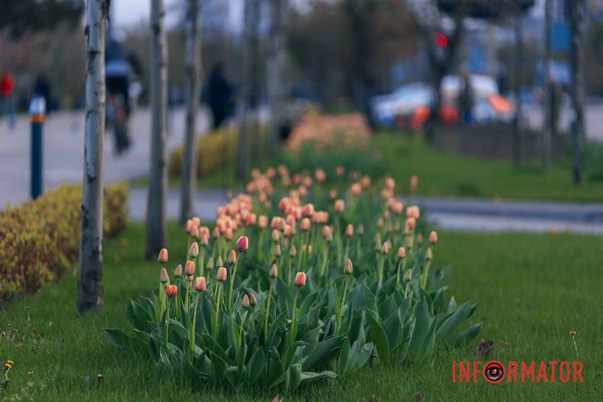 Люди гуляють 