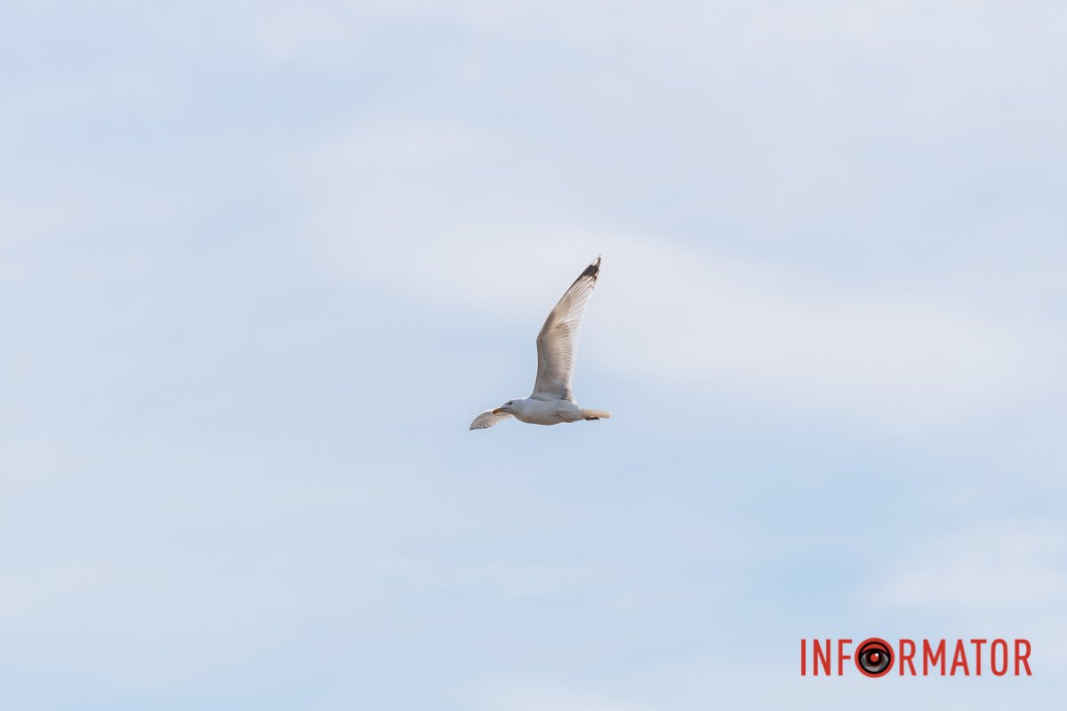 Дніпро особливне