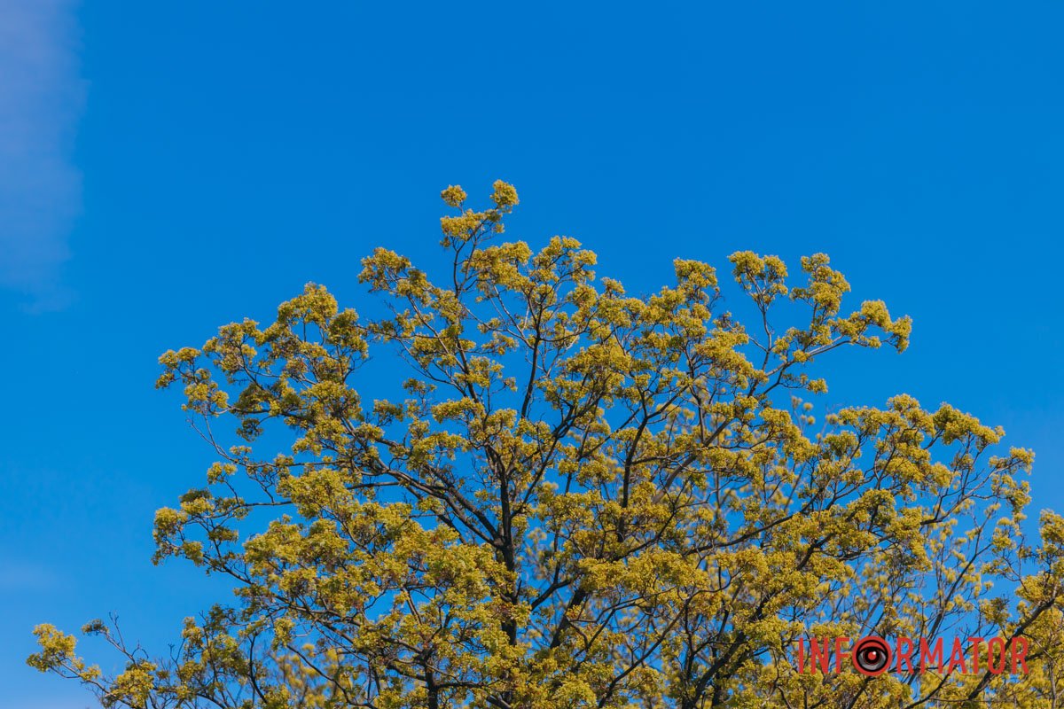 Закарбувати у серці