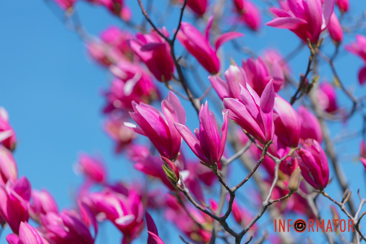 Які кольори!