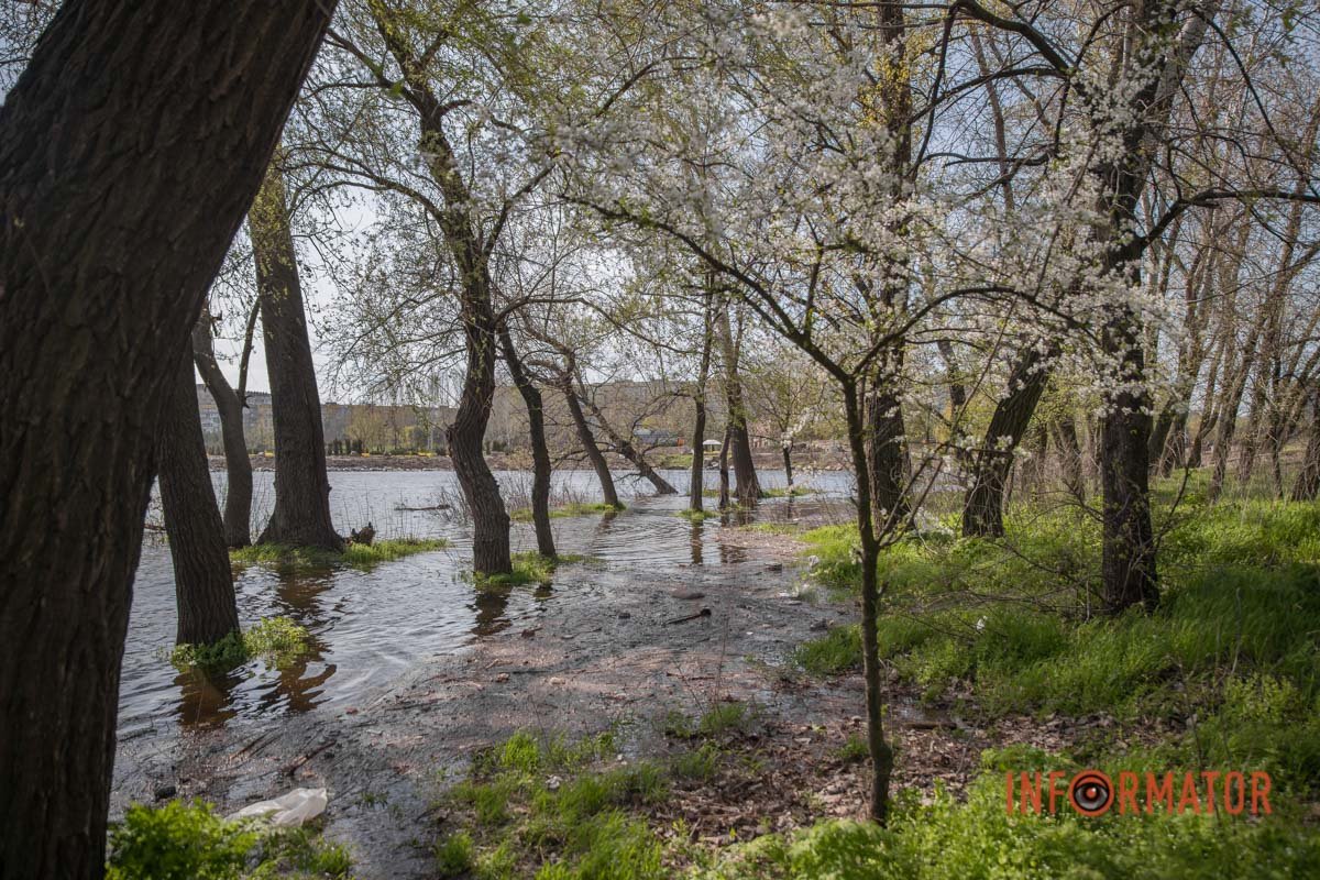 Підтоплено понад 300 домоволодінь в регіоні