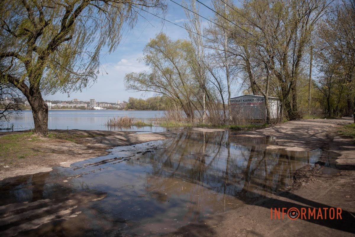 Де золота рибка? Маємо одне бажання на всіх